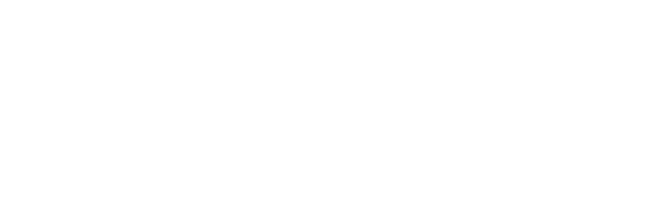 Bronson